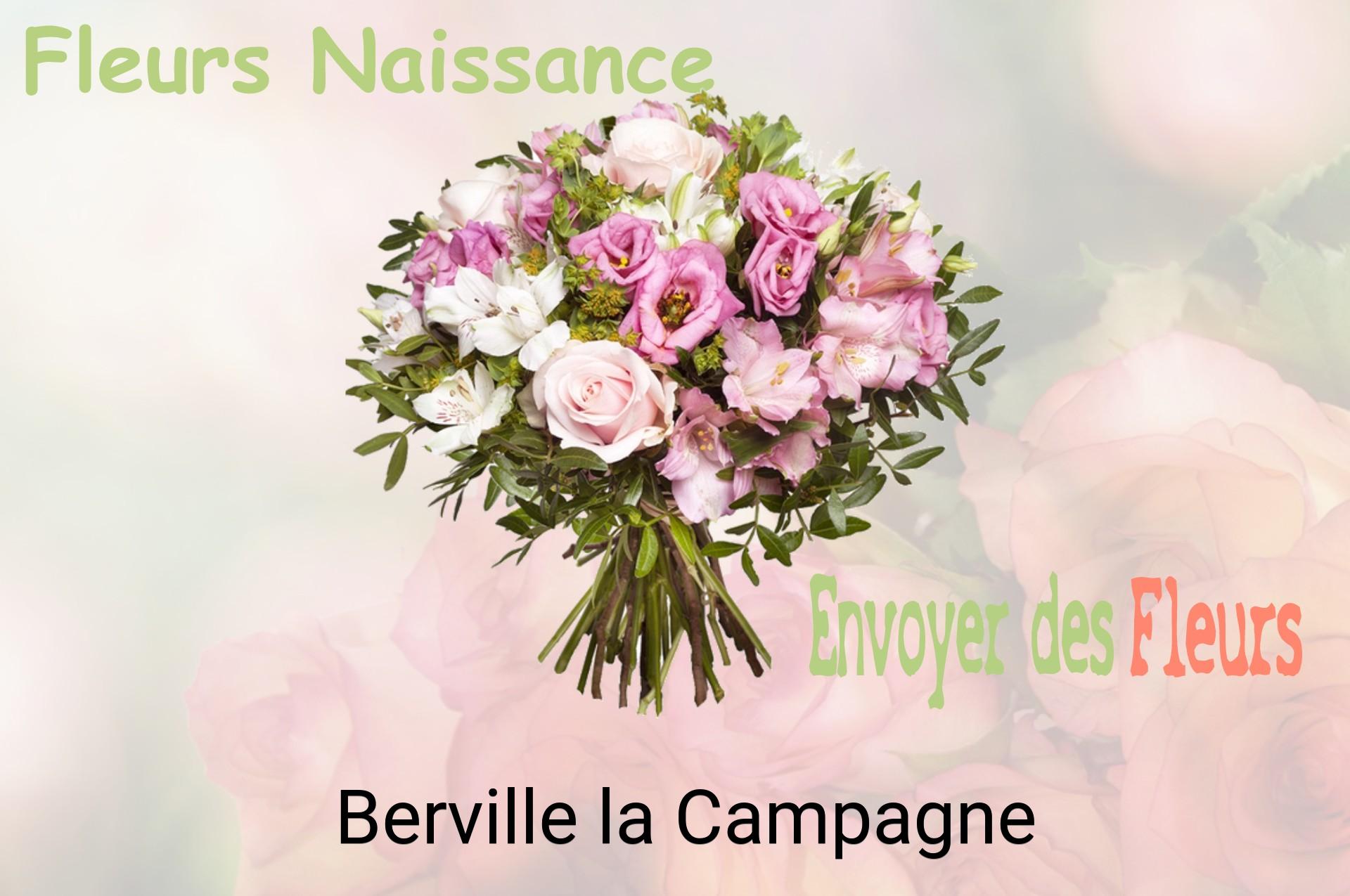 Bouquet de fleurs de naissance livré à Berville-la-Campagne